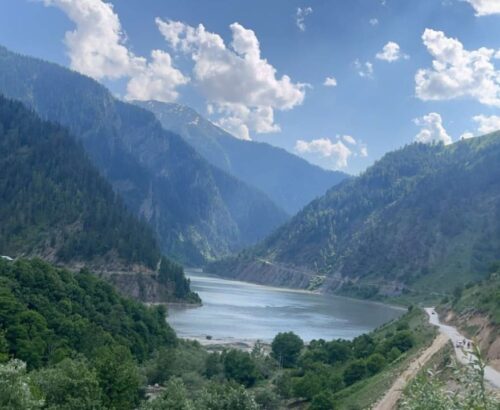 WhatsApp Image 2025-11-20 at 11.01.24 AM