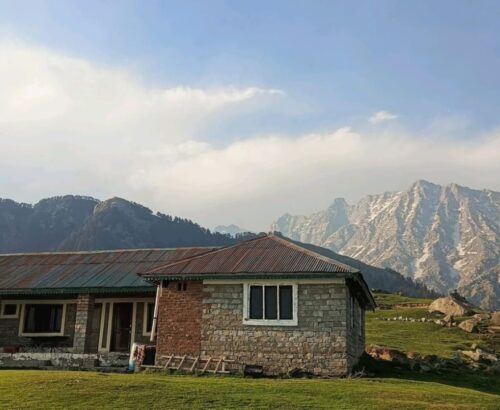 WhatsApp Image 2025-11-20 at 11.01.25 AM