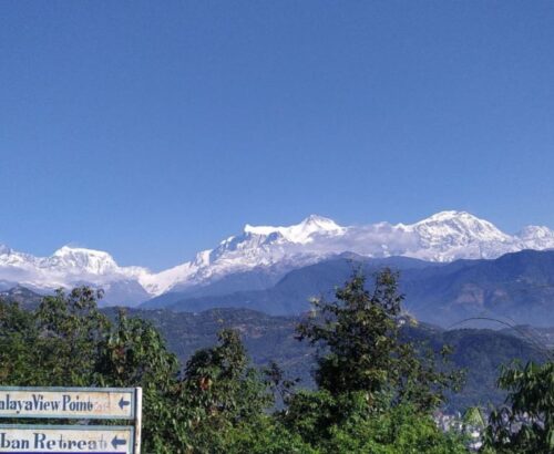 WhatsApp Image 2025-11-20 at 11.01.26 AM