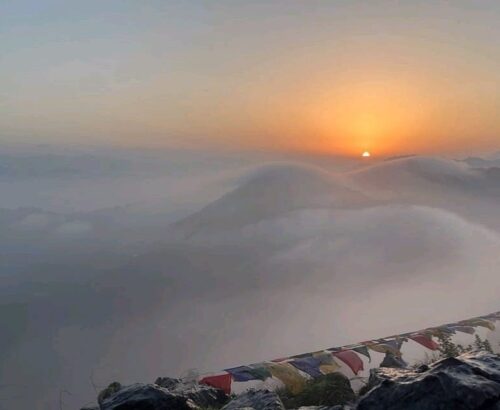 WhatsApp Image 2025-11-20 at 11.01.27 AM