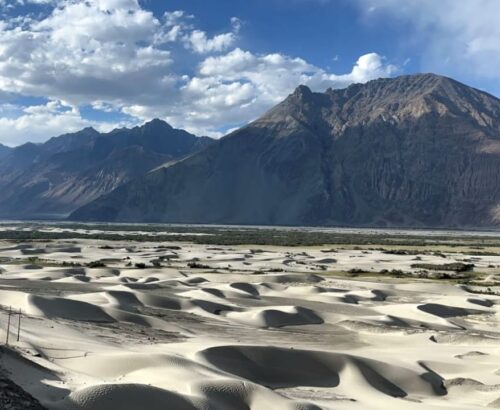 WhatsApp Image 2025-11-20 at 11.01.28 AM