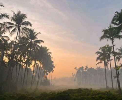 WhatsApp Image 2025-11-20 at 11.01.29 AM