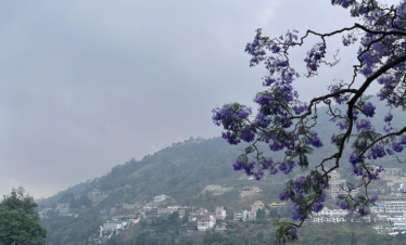 6-Day Delhi-Auli Tour: Corbett Tigers, Nainital Lake & Auli Slopes