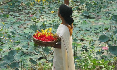 Discover Emerald Kerala: Fort Kochi, Hill Station & Backwaters