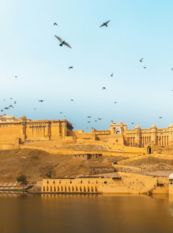 meric-dagli-uADXI1v10us-unsplash