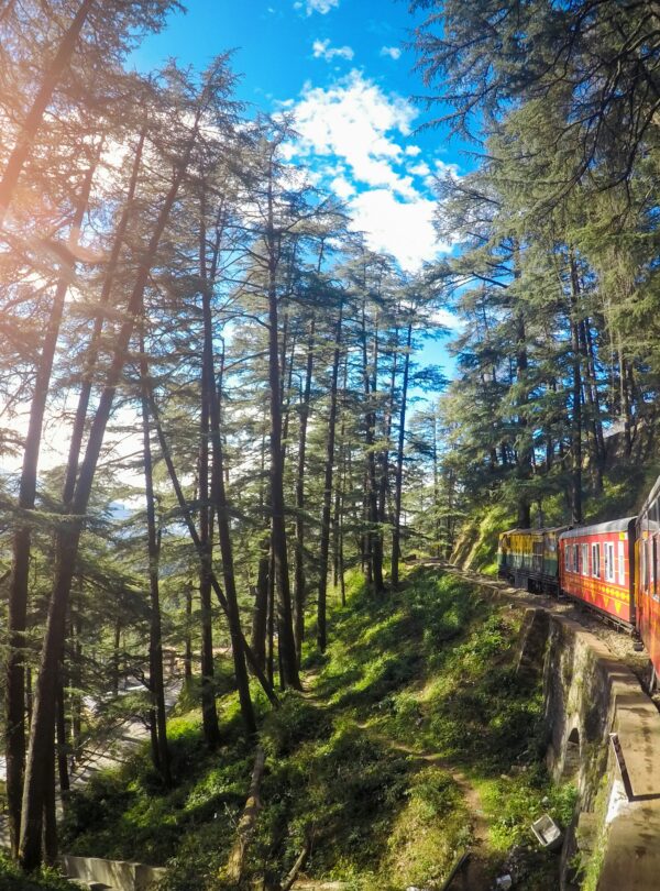 kumar-chandugade-65s0tySbm0I-unsplash