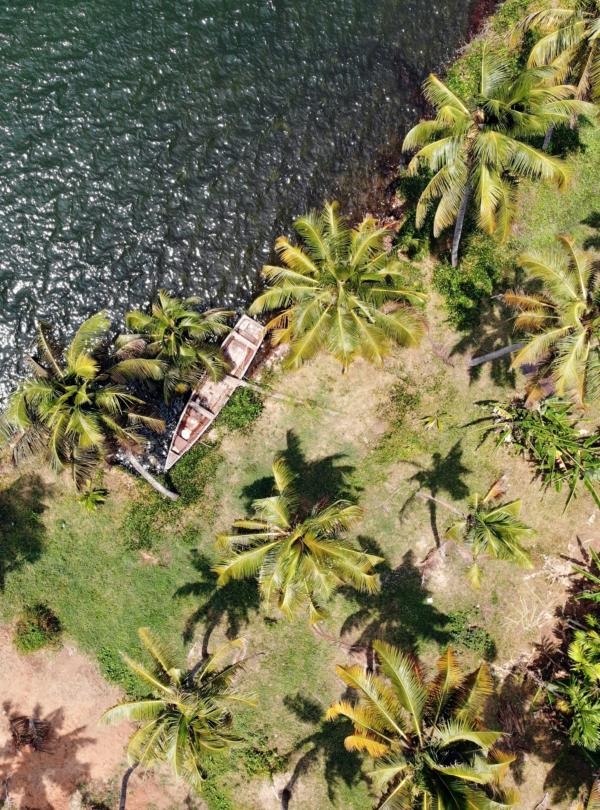 rahul-chakraborty-mtNTB5MC-4A-unsplash